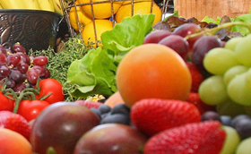 capa-alimentacao-vestibular-mini