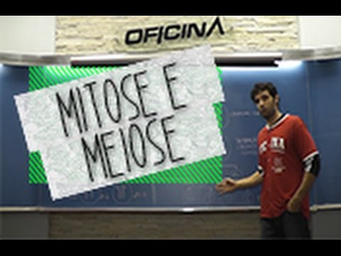 Dica de Biologia – Mitose e Meiose