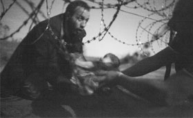 wwp-imagem-vencedora