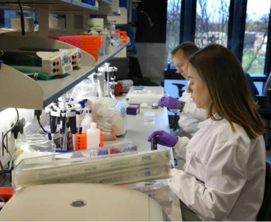 É a área responsável sobre desenvolvimentos de tratamentos do câncer. Getty Images É a área responsável sobre desenvolvimentos de tratamentos do câncer. Getty Images