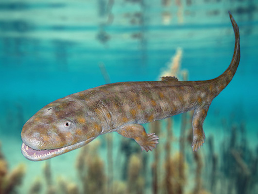 Para elaborar uma teoria tão completa e detalhada, Darwin dedicou muito tempo ao trabalho de campo, observando animais e plantas ao redor do mundo. Uma das viagens mais inspiradoras para o cientista foi a que ele fez a bordo do navio HMS Beagle, aos 22 anos. Ele passou pela África, América do Sul e Oceania, registrando as diferenças na fauna e na flora de cada um desses lugares. Para elaborar uma teoria tão completa e detalhada, Darwin dedicou muito tempo ao trabalho de campo, observando animais e plantas ao redor do mundo. Uma das viagens mais inspiradoras para o cientista foi a que ele fez a bordo do navio HMS Beagle, aos 22 anos. Ele passou pela África, América do Sul e Oceania, registrando as diferenças na fauna e na flora de cada um desses lugares.