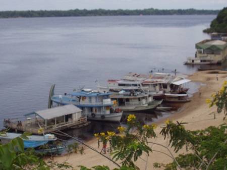 Cerca de metade da bacia do rio Amazonas est&aacute; em territ&oacute;rio brasileiro. Acre, Roraima, Rond&ocirc;nia, Mato Grosso, Par&aacute;, Amap&aacute; e, claro, Amazonas s&atilde;o os estados que a bacia engloba. A outra metade est&aacute; dividida pelos territ&oacute;rios de Peru, Equador, Bol&iacute;via, Guiana, Suriname, Col&ocirc;mbia e Venezuela. (Foto: Wikimedia Commons)