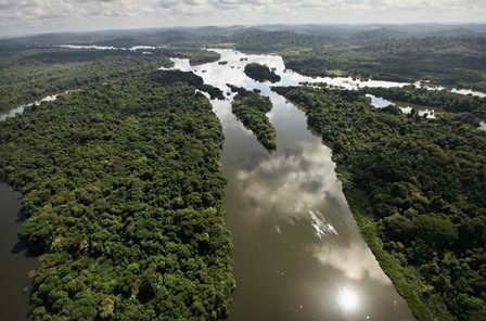 amazonia1.jpg