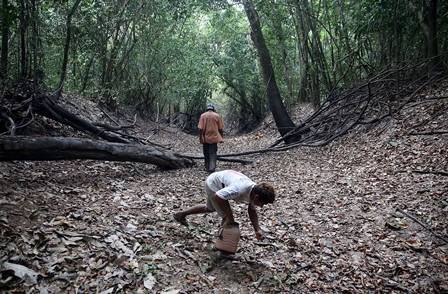 amazonia3.jpg