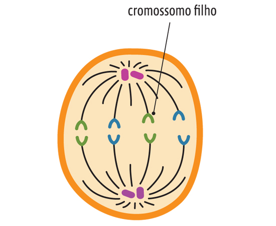 Guia do Estudante - Biologia - 2013