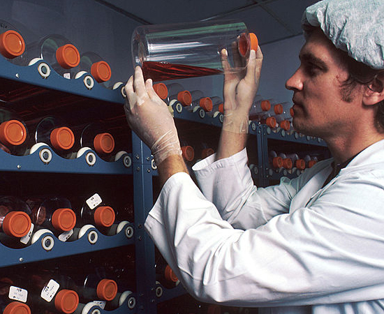 Foto: Wikimedia Commons Foto: Wikimedia Commons