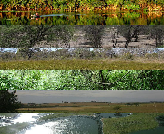 Um bioma é um conjunto de tipos de vegetação que se desenvolve em grandes áreas contínuas, e apresentam flora e fauna semelhantes. No Brasil temos a amazônia, o cerrado, a mata atlântica, os pampas e o pantanal. Saiba mais sobre cada um deles e estude para o vestibular e Enem Um bioma é um conjunto de tipos de vegetação que se desenvolve em grandes áreas contínuas, e apresentam flora e fauna semelhantes. No Brasil temos a amazônia, o cerrado, a mata atlântica, os pampas e o pantanal. Saiba mais sobre cada um deles e estude para o vestibular e Enem