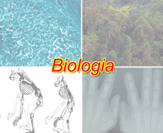 Veja os conteúdos desta área do conhecimento que mais caíram nas provas do Enem. Veja os conteúdos desta área do conhecimento que mais caíram nas provas do Enem.