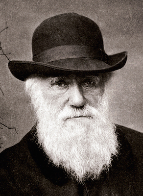 Embora a ideia de que os seres vivos evoluíam já existisse, foi Charles Darwin que deu o pulo do gato ao incluir a seleção natural no processo.