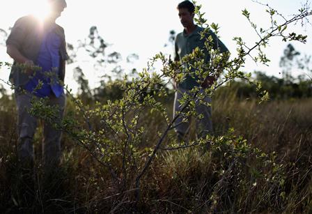 Instituto português oferece bolsa de pesquisa em Engenharia Ambiental