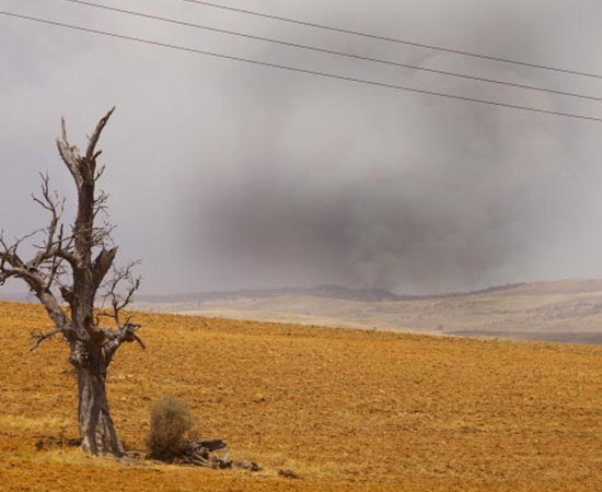 CLIMAS DO MUNDO - Estude sobre os climas equatorial e tropical, os temperados mediterrâneo , continental e oceânico, o tropical árido e o continental árido, o montanhoso, o continental frio ou subpolar e o polar. CLIMAS DO MUNDO - Estude sobre os climas equatorial e tropical, os temperados mediterrâneo , continental e oceânico, o tropical árido e o continental árido, o montanhoso, o continental frio ou subpolar e o polar.