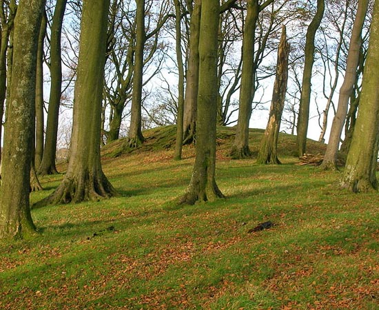 CONSERVAÇÃO - Estude sobre o Protocolo de Kyoto e a revolução energética. CONSERVAÇÃO - Estude sobre o Protocolo de Kyoto e a revolução energética.