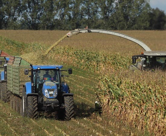 AGRONOMIA - São as ciências e técnicas usadas para melhorar a qualidade e a produtividade de lavouras, rebanhos e produtos agroindustriais. O agrônomo envolve-se em praticamente todas as etapas do agronegócio - do plantio ou da criação de rebanhos à comercialização da produção. AGRONOMIA - São as ciências e técnicas usadas para melhorar a qualidade e a produtividade de lavouras, rebanhos e produtos agroindustriais. O agrônomo envolve-se em praticamente todas as etapas do agronegócio - do plantio ou da criação de rebanhos à comercialização da produção.