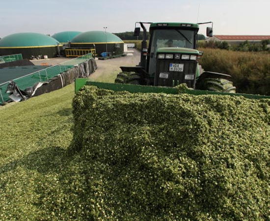 BIOCOMBUSTÍVEIS - Esse tecnólogo detém conhecimento dos processos de obtenção de biocombustíveis sólidos, líquidos e gasosos, provenientes de produtos como cana-de-açúcar, carvão vegetal e plantas oleaginosas (girassol, dendê, soja, amendoim, mamona), entre outros.