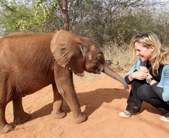 ECOLOGIA - É a ciência que estuda as relações entre o homem e a natureza, para preservar os recursos ambientais. ECOLOGIA - É a ciência que estuda as relações entre o homem e a natureza, para preservar os recursos ambientais.