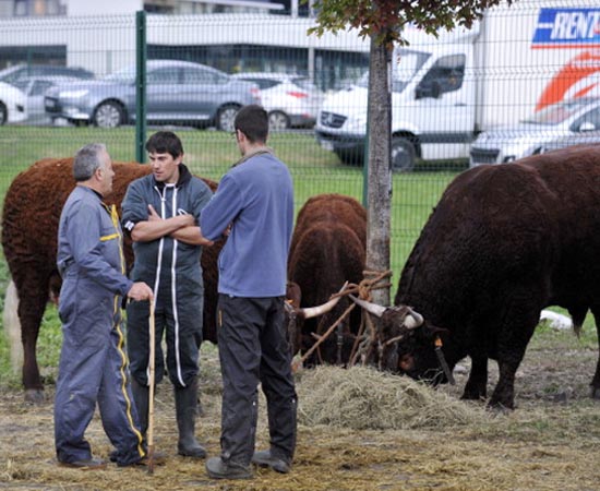 ZOOTECNIA - É a busca de maior produtividade e rentabilidade na criação de animais e no desenvolvimento de produtos como carne, ovos, leite e seus derivados.