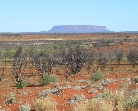 A maior parte do território australiano é coberto por desertos e tem clima subtropical seco. Mas não se engane, também há áreas de clima equatorial e tropical, com florestas tropicais (nas planícies do norte) e clima temperado (nas regiões sudeste e sudoeste do país). (Foto: Wikimedia Commons) A maior parte do território australiano é coberto por desertos e tem clima subtropical seco. Mas não se engane, também há áreas de clima equatorial e tropical, com florestas tropicais (nas planícies do norte) e clima temperado (nas regiões sudeste e sudoeste do país). (Foto: Wikimedia Commons)