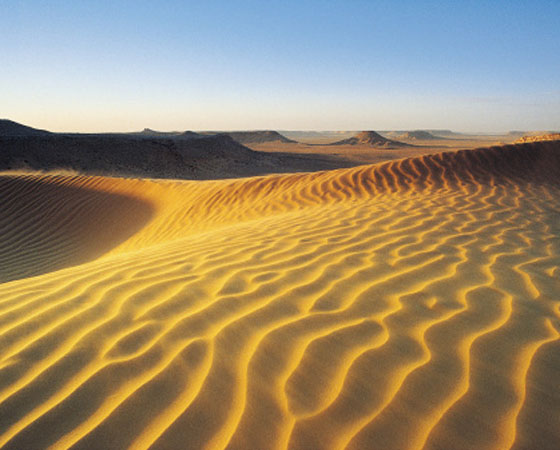 <strong>Deserto - </strong>Esse tipo de formação vegetal é caracterizada pelo solo pedregoso, repleto de dunas. Nos desertos, a vegetação é esparsa e de poucas espécies. Como as regiões áridas têm índices pluviométricos abaixo dos 250 milímetros ao ano, as plantas são adaptadas à ausência de chuvas (os cactos, por exemplo, armazenam água). Nos desertos frios (em altas latitudes, como o da Patagôna, no sul da Am. do Sul), as temperaturas variam pouco durante o dia. Já os desertos quentes (como o do Atacama, no Chile, da Austrália e do Saara) ficam em regiões tropicais e, no decorrer do dia, apresentam grande variação de temperatura. <strong>Deserto - </strong>Esse tipo de formação vegetal é caracterizada pelo solo pedregoso, repleto de dunas. Nos desertos, a vegetação é esparsa e de poucas espécies. Como as regiões áridas têm índices pluviométricos abaixo dos 250 milímetros ao ano, as plantas são adaptadas à ausência de chuvas (os cactos, por exemplo, armazenam água). Nos desertos frios (em altas latitudes, como o da Patagôna, no sul da Am. do Sul), as temperaturas variam pouco durante o dia. Já os desertos quentes (como o do Atacama, no Chile, da Austrália e do Saara) ficam em regiões tropicais e, no decorrer do dia, apresentam grande variação de temperatura.