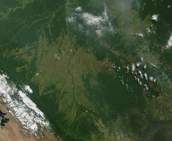 DESMATAMENTO - Estude sobre os biomas ameaçados, a desertificação e a erosão. DESMATAMENTO - Estude sobre os biomas ameaçados, a desertificação e a erosão.