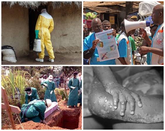 Segundo a Organiza&ccedil;&atilde;o Mundial de Sa&uacute;de, a &Aacute;frica vive a pior epidemia do v&iacute;rus Ebola da hist&oacute;ria. At&eacute; o momento, quase 1000 pessoas j&aacute; morreram da doen&ccedil;a na Guin&eacute;, Serra Leoa, Lib&eacute;ria e Nig&eacute;ria. Veja tudo o que voc&ecirc; precisa saber sobre essa doen&ccedil;a mortal.