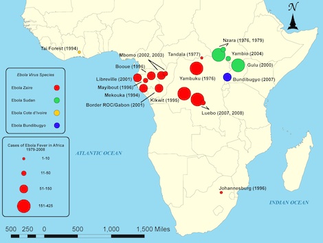 Com a propagação de uma perigosa epidemia na África, as chances da Ebola ser abordada em provas é muito grande. Essa febre emorrágica é a doença mais letal do mundo, matando cerca de 90% dos infectados. O contágio se dá através do contato com pessoas infectadas, estajam elas vivas ou mortas. Os sintomas são edemas, febre alta, sucessivas hemorragias, vômito, dor de cabeça e insuficiência hepática e renal. (Foto: Creative Commons)