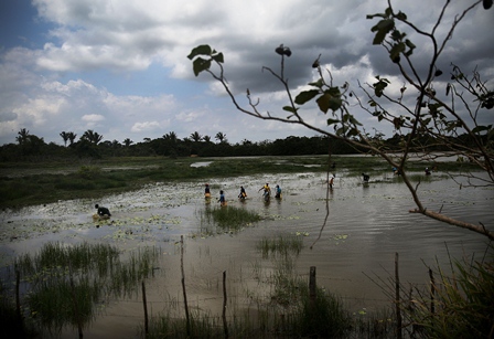 ecologia3.jpg