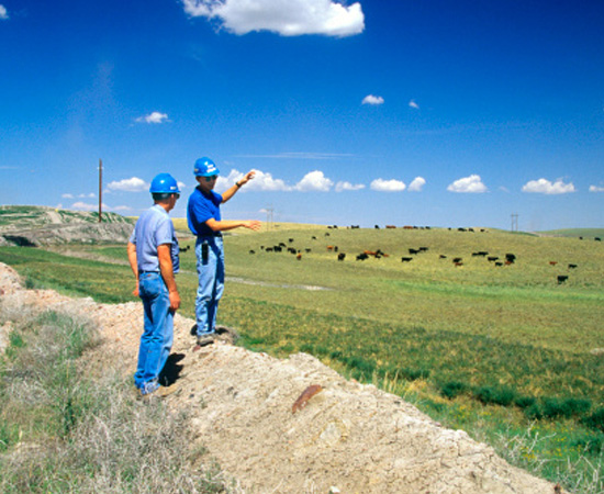 Engenharia Agrícola - São as técnicas e os conhecimentos empregados no gerenciamento de processos agropecuários. Engenharia Agrícola - São as técnicas e os conhecimentos empregados no gerenciamento de processos agropecuários.