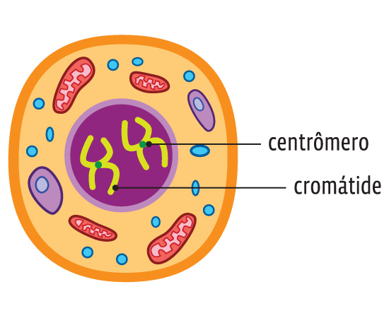 Guia do Estudante - Biologia -2013 Guia do Estudante - Biologia -2013