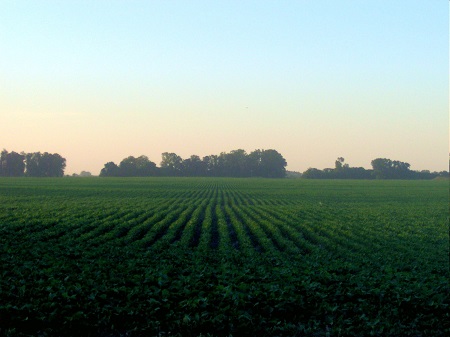 Outro item utilizado na agricultura aparece no sexto lugar do ranking. Os fertilizantes são responsáveis por 4% do total de importações de nosso país.