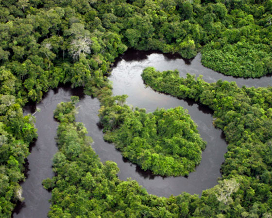Fica nas proximidades da linha do Equador, abarcando o Amazonas, norte de Mato Grosso e oeste do Maranhão. Chove durante o ano todo, e em grande quantidade; é bastante úmido e a temperatura varia pouco no decorrer do ano, com média de 26ºC (foto Getty Images) Fica nas proximidades da linha do Equador, abarcando o Amazonas, norte de Mato Grosso e oeste do Maranhão. Chove durante o ano todo, e em grande quantidade; é bastante úmido e a temperatura varia pouco no decorrer do ano, com média de 26ºC (foto Getty Images)