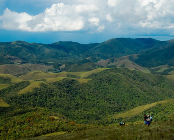 É o clima das áreas com altitude acima de 800 metros em Minas Gerais, no Espírito Santo, no Rio de Janeiro e em São Paulo. Os verões são quentes e chuvosos e os invernos, frios e secos. Em comparação com o clima tropical, o tropical de altitude tem o mesmo comportamento pluviométrico, mas as médias anuais de temperatura são menores, ficando em torno dos 20ºC - no inverno, as temperaturas são bem mais baixas (foto: Getty Images) É o clima das áreas com altitude acima de 800 metros em Minas Gerais, no Espírito Santo, no Rio de Janeiro e em São Paulo. Os verões são quentes e chuvosos e os invernos, frios e secos. Em comparação com o clima tropical, o tropical de altitude tem o mesmo comportamento pluviométrico, mas as médias anuais de temperatura são menores, ficando em torno dos 20ºC - no inverno, as temperaturas são bem mais baixas (foto: Getty Images)