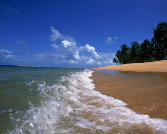 Esse clima cobre quase todo o litoral do país: começa no Rio Grande do Norte e vai até o Paraná. A quantidade de chuvas varia conforme a latitude da localidade. Por exemplo, enquanto no Nordeste chove muito no inverno, no Sudeste chove mais no verão. A variação da temperatura é maior na porção mais ao sul do litoral. No Rio de Janeiro, oscila entre 21,5ºC e 26,5º e, em João Pessoa, entre 24°C e 28°C (foto: Getty Images) Esse clima cobre quase todo o litoral do país: começa no Rio Grande do Norte e vai até o Paraná. A quantidade de chuvas varia conforme a latitude da localidade. Por exemplo, enquanto no Nordeste chove muito no inverno, no Sudeste chove mais no verão. A variação da temperatura é maior na porção mais ao sul do litoral. No Rio de Janeiro, oscila entre 21,5ºC e 26,5º e, em João Pessoa, entre 24°C e 28°C (foto: Getty Images)