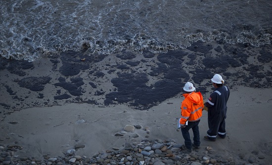 ECOLOGIA | Um dos tópicos em que ela mais aparece: veja o talassociclo (divisão da biosfera que compreende os ecossistemas marinhos), a água como hábitat animal, os ciclos biogeoquímicos dos elementos e o problema da poluição. (Imagem: Getty Images) ECOLOGIA | Um dos tópicos em que ela mais aparece: veja o talassociclo (divisão da biosfera que compreende os ecossistemas marinhos), a água como hábitat animal, os ciclos biogeoquímicos dos elementos e o problema da poluição. (Imagem: Getty Images)