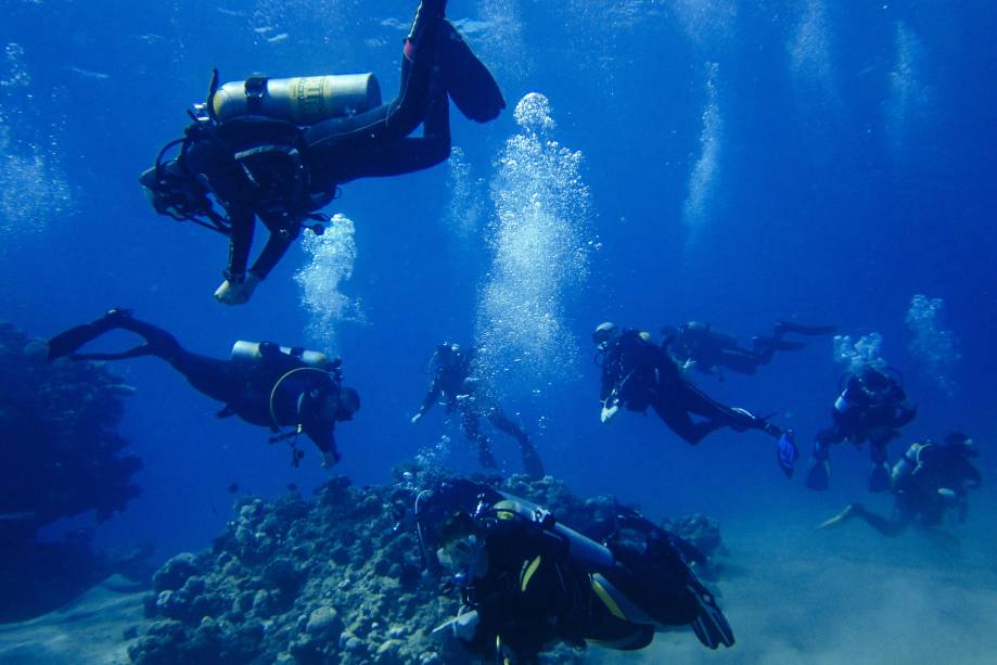 Negócios e Tecnologia do Mergulho - A Florida Keys Community College oferece esse curso que pode ser o sonho dos amantes de praia. A grade mistura ciência com a instrução de mergulho, e com o diploma é possível ser instrutor de mergulho, mergulhador de investigação e até fotojornalista subaquático.