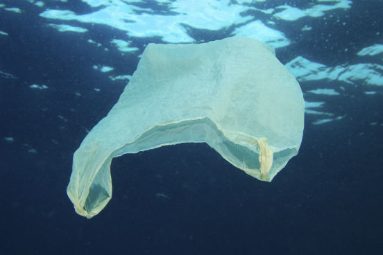 A própria fundação assume, no relatório, que é difícil realizar essas duas medições com precisão. Segundo eles, a quantidade de plástico apresentada no texto foi estimada a partir de um estudo publicado em 2015 por Jenna Jambeck, professora da Universidade da Georgia. Em seu estudo, Jenna tentou realizar um censo global da poluição por plásticos e estimar quanto disso acaba indo parar nos oceanos. Para isso, no entanto, ela levou em consideração apenas a área da baía de São Francisco, nos Estados Unidos. (Imagem: iStock) A própria fundação assume, no relatório, que é difícil realizar essas duas medições com precisão. Segundo eles, a quantidade de plástico apresentada no texto foi estimada a partir de um estudo publicado em 2015 por Jenna Jambeck, professora da Universidade da Georgia. Em seu estudo, Jenna tentou realizar um censo global da poluição por plásticos e estimar quanto disso acaba indo parar nos oceanos. Para isso, no entanto, ela levou em consideração apenas a área da baía de São Francisco, nos Estados Unidos. (Imagem: iStock)
