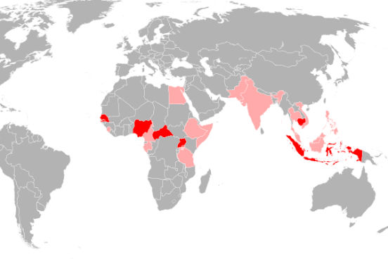 Já foram registradas outras duas epidemias do zika vírus: na Micronésia, em 2007, e na Polinésia Francesa, em 2013. A imagem (com dados de 2013) mostra, em vermelho, os países onde o vírus foi encontrado isolado em humanos, e em rosa onde anticorpos contra o vírus foram demonstrados em humanos. (Imagem: Wikimedia Commons) Já foram registradas outras duas epidemias do zika vírus: na Micronésia, em 2007, e na Polinésia Francesa, em 2013. A imagem (com dados de 2013) mostra, em vermelho, os países onde o vírus foi encontrado isolado em humanos, e em rosa onde anticorpos contra o vírus foram demonstrados em humanos. (Imagem: Wikimedia Commons)
