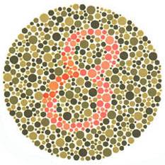Quem tem vis&atilde;o normal v&ecirc; o n&uacute;mero 8. Quem tem dificuldades com o verde e o vermelho v&ecirc; 3. <a href="https://beta-develop.guiadoestudante.abril.com.br/vestibular/noticias/descobrir-daltonismo-pode-melhorar-vida-escolar-545415.shtml" target="_blank">Leia mais sobre daltonismo</a>.
