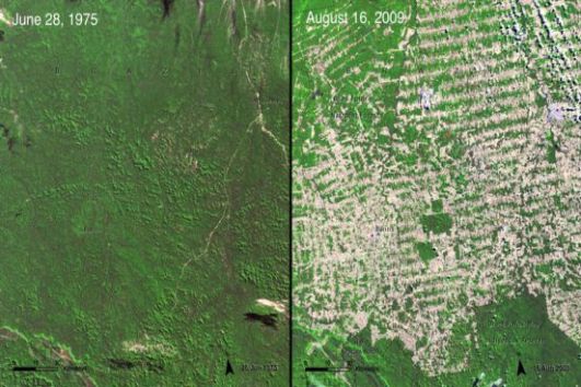 O Brasil encabeça a lista com o desmatamento provocado pela atividade agropecuária. Em 2008, 38% da Amazônia desapareceu. No lugar das árvores, surgiram fazendas.(Imagem: NASA) O Brasil encabeça a lista com o desmatamento provocado pela atividade agropecuária. Em 2008, 38% da Amazônia desapareceu. No lugar das árvores, surgiram fazendas.(Imagem: NASA)