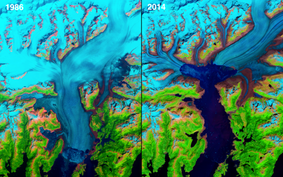 A geleira de Columbia, localizada no Alasca, recuou 12 km² devido ao aquecimento globo. Até 1980, o tamanho da placa descoberta em 1794 se mantinha instável A geleira de Columbia, localizada no Alasca, recuou 12 km² devido ao aquecimento globo. Até 1980, o tamanho da placa descoberta em 1794 se mantinha instável