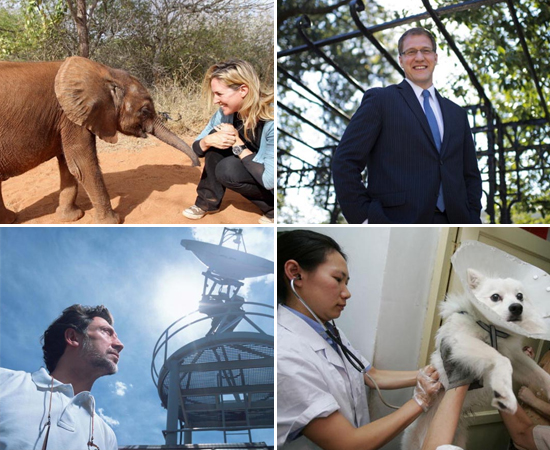 Veja, a seguir, as 22 carreiras que você pode seguir nas áreas de Meio Ambiente e Ciências Agrárias. Clique em Leia Mais para conhecer detalhes sobre cada curso. Veja, a seguir, as 22 carreiras que você pode seguir nas áreas de Meio Ambiente e Ciências Agrárias. Clique em Leia Mais para conhecer detalhes sobre cada curso.