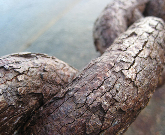 Foto: Marlith / Wikimedia Commons Foto: Marlith / Wikimedia Commons