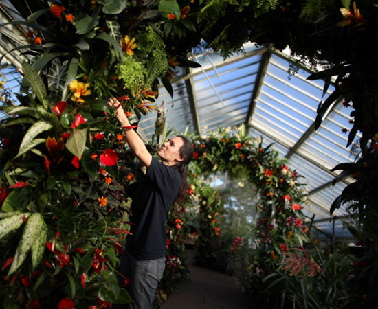 Foto: Getty Images Foto: Getty Images