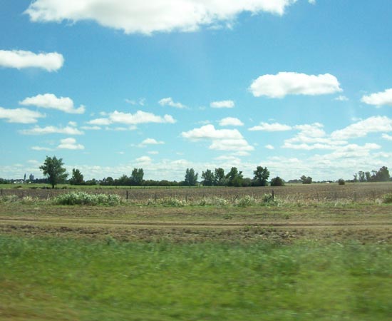 ESTEPE - Estude as características deste tipo de vegetação.