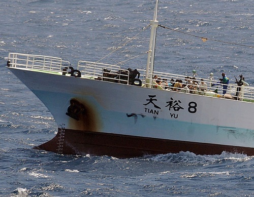 Com a falência do governo do país, atividades como a pirataria ressurgiram na Somália. Navios cargueiros foram sequestrados pelos piratas, que faziam pedidos milionários de resgate. Essa região é rota de passagem de grande parte do petróleo do Oriente Médio, o que chamou atenção mundial para o problema. (Foto: Wikimedia Commons) Com a falência do governo do país, atividades como a pirataria ressurgiram na Somália. Navios cargueiros foram sequestrados pelos piratas, que faziam pedidos milionários de resgate. Essa região é rota de passagem de grande parte do petróleo do Oriente Médio, o que chamou atenção mundial para o problema. (Foto: Wikimedia Commons)