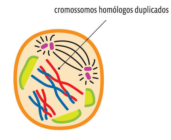 Guia do Estudante - Biologia - 2013