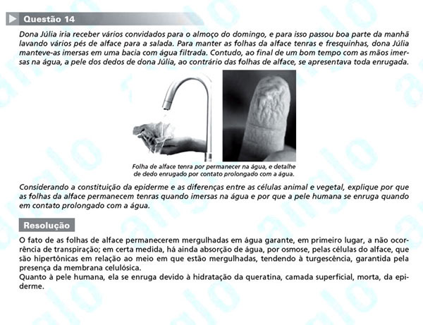 Unesp 2012 – segunda fase: questão 14 – Ciências da Natureza