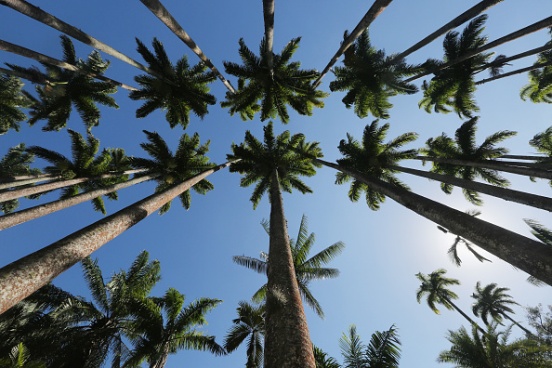 O território do Rio de Janeiro já foi ocupado por indígenas e franceses. Os últimos chegaram a fundar uma colônia, denominada França Antártida. (Imagem: Getty Images)