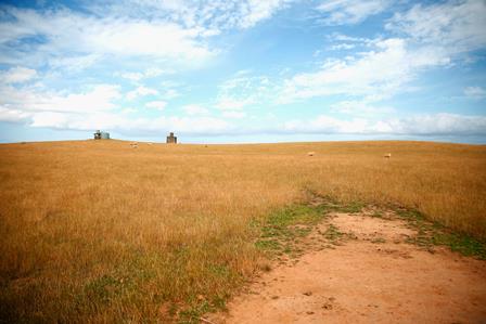 UFES inscreve para pós-doutorado em Ciências Agrárias