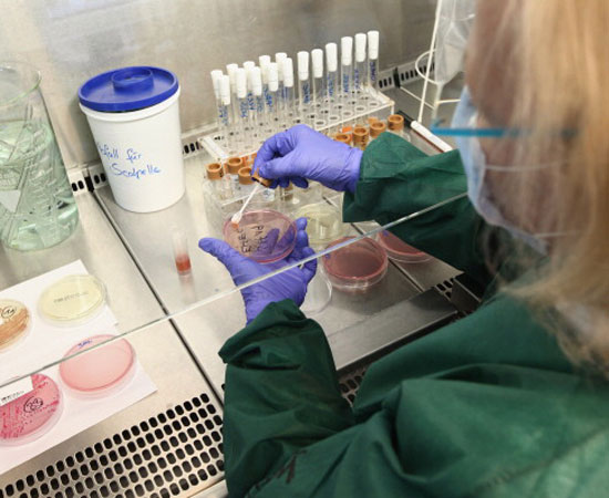 Esses profissionais trabalham em um ambiente propício à produtividade, livre de distrações para analisar. Ao trabalhar fora do olhar do público, os técnicos podem se concentrar em ajudar os médicos. Para se tornar um técnico de laboratório, é preciso fazer a faculdade de Radiologia. (foto: Getty Images) Esses profissionais trabalham em um ambiente propício à produtividade, livre de distrações para analisar. Ao trabalhar fora do olhar do público, os técnicos podem se concentrar em ajudar os médicos. Para se tornar um técnico de laboratório, é preciso fazer a faculdade de Radiologia. (foto: Getty Images)