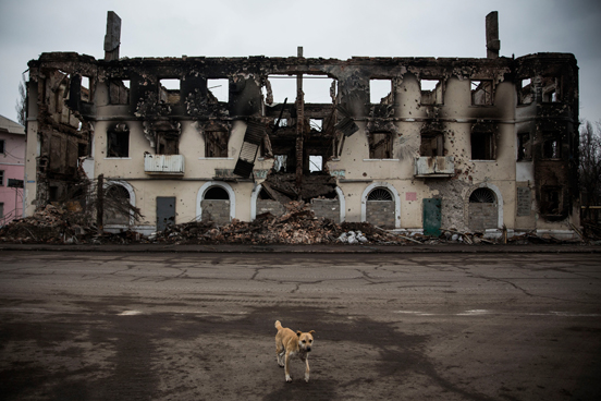 Um cão passa por um edifício destruído pela guerra em Uglegorsk, Ucrânia. (Foto: Andrew Burton / Getty Images) Um cão passa por um edifício destruído pela guerra em Uglegorsk, Ucrânia. (Foto: Andrew Burton / Getty Images)